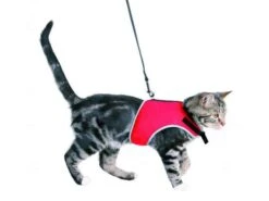 Trixie Softgeschirr Mit Leine | Für Katzen