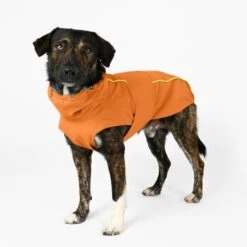 THE DOG IDEA Regenmantel Duke Orange XXXS 11 THE DOG IDEA Regenmantel Duke Orange XXXS -Heimtierbedarf Geschäft a1af009970fbe0d49b23b55aae3478442e9eb5e6 1473000 de DE e975935bd14ae10e3cbf4709cc9d05a6879844e2TUSiIw