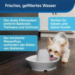 PetSafe Trinkbrunnen Streamside -Heimtierbedarf Geschäft a4863bb01c9defc206f3abadb7407b11767619bd 1423698 de DE d7c376710365041814bb26a7ca9d55a6a9011fd8Nm0GoI
