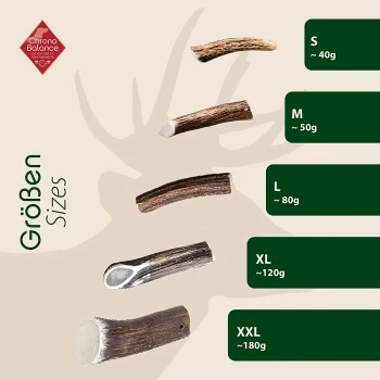 ChronoBalance Geweih Halbiert (M) 2er Paket 7 ChronoBalance Geweih Halbiert (M) 2er Paket - Image 5