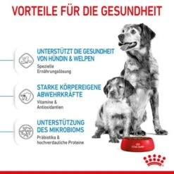 ROYAL CANIN Medium Starter 15 Kg -Heimtierbedarf Geschäft acb15bbb7b41e4def079872bea4263585c7c6e23 5870a5fecba74a3a49092a07c120a3ff257b845d