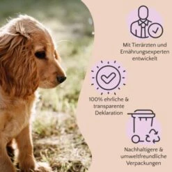 FAVLY Petfood Nature Cookies Hirsch 360 G -Heimtierbedarf Geschäft ae0e416bd82871a8a65b5b89ea5ccac268b91726 1474001 de DE 80624b888460a5c29f043365a19496292e44fd84erjjco