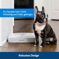 PetSafe Futterautomat Für 2 Mahlzeiten -Heimtierbedarf Geschäft afccbd633c58c8351d6efc6cc5102f36b818906b 1343837 10