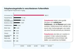 Versele Winter Plus I.C.⁺ 20kg 8 Versele Winter Plus I.C.⁺ 20kg -Heimtierbedarf Geschäft antioxidantien 18