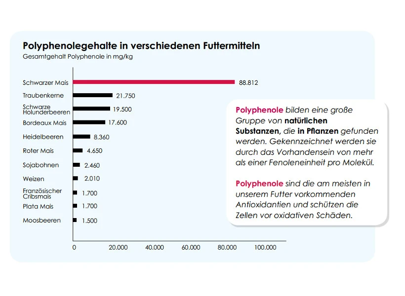 Versele Winter Plus I.C.⁺ 20kg 5 Versele Winter Plus I.C.⁺ 20kg - Image 3