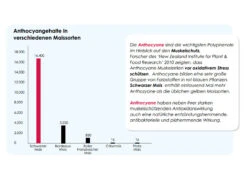 Versele Winter Plus I.C.⁺ 20kg 9 Versele Winter Plus I.C.⁺ 20kg -Heimtierbedarf Geschäft antioxidantien 28