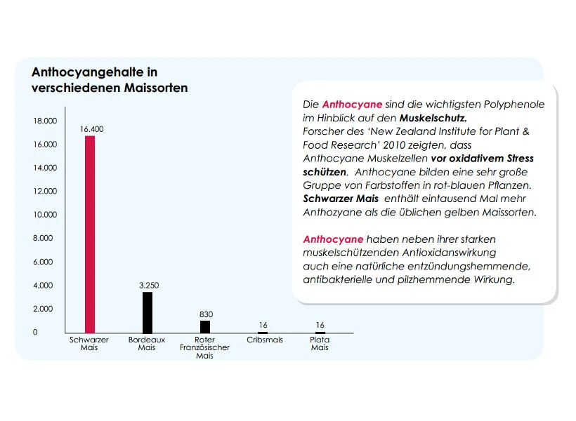Versele Start Plus I.C.⁺ 20kg 6 Versele Start Plus I.C.⁺ 20kg - Image 4