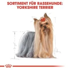 ROYAL CANIN Yorkshire Terrier Adult 1,5 Kg -Heimtierbedarf Geschäft b2f5184395c498d76eeaf1a3805977dc6baac69a 8525a84bc8bceef91a6ba9ef3810aac1dcf98bbb