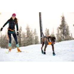 Ruffwear Cloud Chaser™ Hundejacke 20 Ruffwear Cloud Chaser™ Hundejacke -Heimtierbedarf Geschäft b3945dcdf1d891b89bb33cdcabbc0f70acaf459d 1369625 de DE 87163fc3e147e303fdf97d4ab87fd720c4f34a96B9a7gd