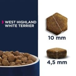 EUKANUBA Breed Specific West Highland White Terrier 2,5kg -Heimtierbedarf Geschäft b61eec98cbd21c988b77b36677f4116c18b57e2d 1fbba6259a52053ff1ef94dbbaa758ef537ef35c