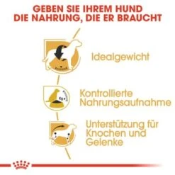 ROYAL CANIN Beagle Adult 3 Kg -Heimtierbedarf Geschäft bd1d862302227d3355d22f5dd63b0fb6e01c0979 a169571c5cbde6082adf0be87e23db9042e69066