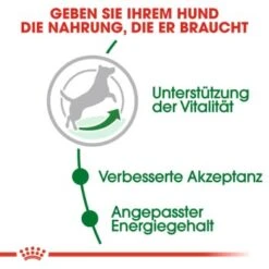 ROYAL CANIN Mini Adult 8+ 8 Kg -Heimtierbedarf Geschäft c353b0de3f48a724e716c1c76485d0baab2f2c1c b5e80ca1f67a73b432838d9b8dc4feac61bcbeef