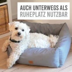 KaraLuna Autositz Kleine Hunde 12 KaraLuna Autositz Kleine Hunde -Heimtierbedarf Geschäft c43a66d74eef51b612eae7a548cb2b038009505b 1657442 de DE c74c72488e6718cfafbeff5d99ede07a37048260HkNpMo