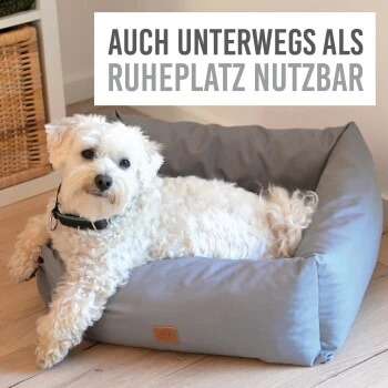 KaraLuna Autositz Kleine Hunde 6 KaraLuna Autositz Kleine Hunde - Image 4