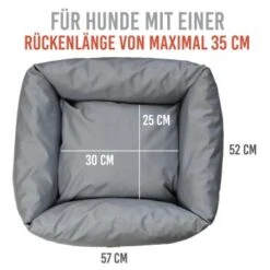 KaraLuna Autositz Kleine Hunde 15 KaraLuna Autositz Kleine Hunde -Heimtierbedarf Geschäft c82cd8c12e140ce6995549d71c3f6191f0cd0a3b 1657442 de DE 2f6495f9c0fdda14f345cfb639bb4bee62ece79aDXpHvs