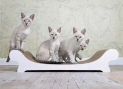 Cat-On Le Canapé | 745 X 150 X 310 Mm | Katzenmöbel