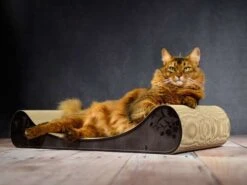Cat-On Le Divan | 750 X 140 X 325 Mm | Katzenmöbel