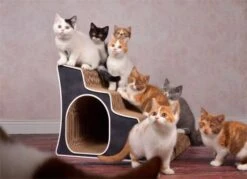 Cat-On Lescalier | 500 X 400 X 500 Mm | Katzenmöbel