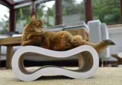 Cat-On Singha M | 620 X 240 X 260 Mm | Katzenmöbel