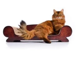 Cat-On Vertige | 750 X 170 X 310 Mm | Katzenmöbel