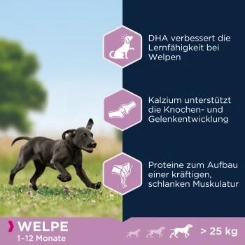 EUKANUBA Puppy Large Breed 15 Kg 7 EUKANUBA Puppy Large Breed 15 Kg – Bild 5