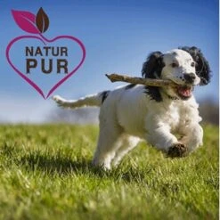 Fit-Crock Active Lamm Mini 10 Kg -Heimtierbedarf Geschäft d086dad7100dbdf41486dc1e184e8b3e19e70f2f 1669874 de DE e6cef6c805493de794606a88a99e94e07eba83d7iihYJV