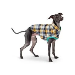 GF Pet Reversible Trail Jacke Grün XXS 8 GF Pet Reversible Trail Jacke Grün XXS -Heimtierbedarf Geschäft d0d86a70089b79c26342e2430bae8caf960ccaed befa58813c2949e634e5b991f29c2ef187a974fc