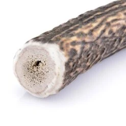 Larsson Geweih XL Ca. 160-250g -Heimtierbedarf Geschäft d0ea2d0dd81916c0771ab948a0ba526456c57531 1057934 de DE 33de9f3780cd9591638692dec708fc97aaea117cMdAURQ