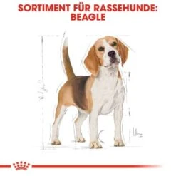 ROYAL CANIN Beagle Adult 3 Kg -Heimtierbedarf Geschäft d3a84b255bdcfbbde818e2c2e15191cb2313a164 3772423de91cdfa47855021f9f3e19243302a8f9