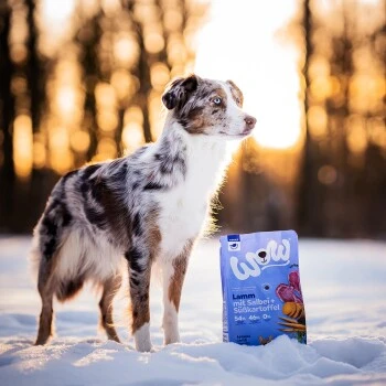 WOW Adult Lamm Mit Salbei 6 Kg 4 WOW Adult Lamm Mit Salbei 6 Kg - Image 2