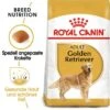 ROYAL CANIN Golden Retriever Adult 12 Kg -Heimtierbedarf Geschäft dda1c4a4139eea7348914b8efbc44336fe9546a5 91ba024246a2f768a87f2a21ead9780a208ae3c8