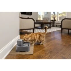 PetSafe Trinkbrunnen 1,8 L -Heimtierbedarf Geschäft df488cf045110a6e0d24fcded3d81de07583d88a 1323706 7