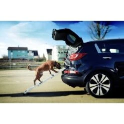 4pets Rampe EasySteps 9 4pets Rampe EasySteps -Heimtierbedarf Geschäft e900a968d8a04ba612530fdd36c5aa69f2fcdb42 13c5bbebb6d2cdec433b668e9fb0bd46dd6f4298