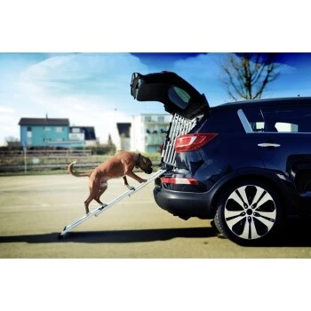 4pets Rampe EasySteps 6 4pets Rampe EasySteps - Image 4