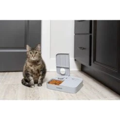 PetSafe Futterautomat Für 2 Mahlzeiten -Heimtierbedarf Geschäft ecfa45428902a757dc7016a44357eeb1f8b25a89 1343837 6
