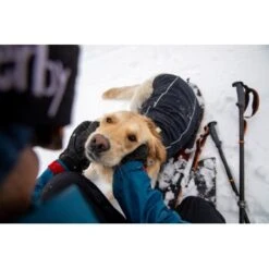 Ruffwear Cloud Chaser™ Hundejacke 19 Ruffwear Cloud Chaser™ Hundejacke -Heimtierbedarf Geschäft f46c67f8b7243d976f998e1877675b56fc87eab2 1369625 de DE 51d1c132eb566a7eb9e278708f64567d4e47a10epBiJRc