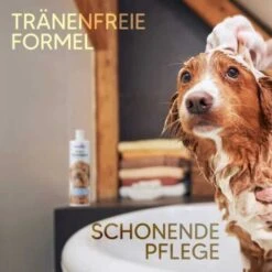 Pawlie's Welpenshampoo -Heimtierbedarf Geschäft f56801adb1bee6d0b5fdd328d641fa773ce5d4c4 1626204 de DE 7b87b87a2e48e8c0e12b98c918c4d75b538aae40E5TfEc