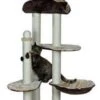 Trixie Kratzbaum Evita, 78x58/58cm, H: 152cm -Heimtierbedarf Geschäft kratzbaum evita 600x600