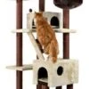 Trixie Kratzbaum Felicitas, 70x61cm, H: 190cm 1 Trixie Kratzbaum Felicitas, 70x61cm, H: 190cm -Heimtierbedarf Geschäft kratzbaum feliciatas 600x600