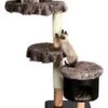 Trixie Naturkratzbaum Savannah, 58x58cm, H:132cm -Heimtierbedarf Geschäft kratzbaum savannah 600x600