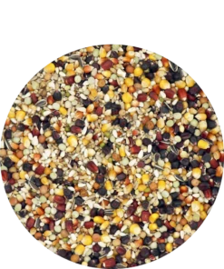 Versele Master Witwer 20kg