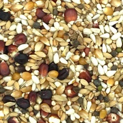 Paloma Nr.09 Diamond Bergemann Light 20kg