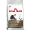 Royal Canin Ageing 12+ -Heimtierbedarf Geschäft royal canin ageing 12plus trockenfutter 600x600