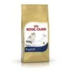 Royal Canin Ragdoll 2 Royal Canin Ragdoll -Heimtierbedarf Geschäft royal canin ragdoll 600x600