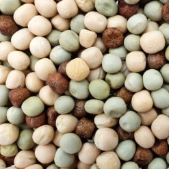 Erbsengemenge - Spinne 25kg