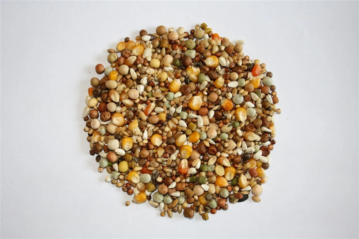 Versele Start Plus I.C.⁺ 20kg 3 Versele Start Plus I.C.⁺ 20kg