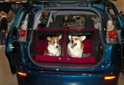 Sturdi Car-Go Shelter