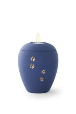 Tierurne Siena | Einfarbig | Mit Goldenem Pfötchen | Urne Mit Samtoberfläche Und Gedenklicht