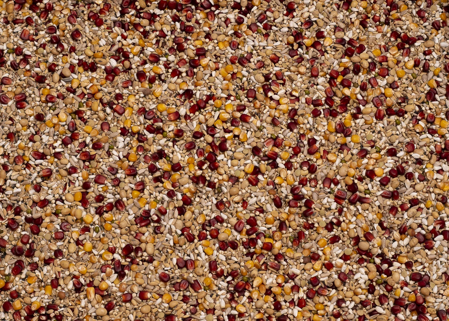 Beyers Premium Enzymix Power 25kg 3 Beyers Premium Enzymix Power 25kg