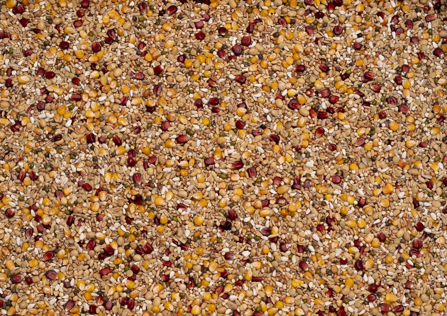 Beyers Premium Enzymix Energy 25Kg 3 Beyers Premium Enzymix Energy 25Kg